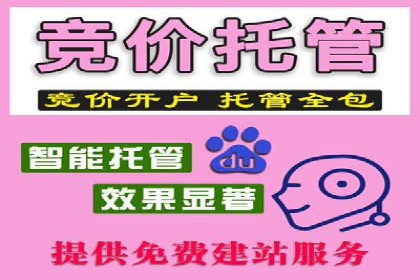 某sem代运营公司：打造品牌营销新模式